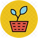Plant Potted Growing Icon