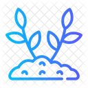 Plant Nature Growing Icon