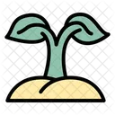 Plant Nature Leaf Icon