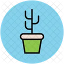 Plant Pot Growing Icon