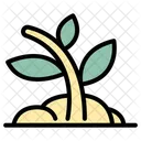 Plant Nature Leaf Icon