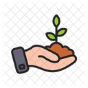 Plant A Tree Sprout Sapling Icon