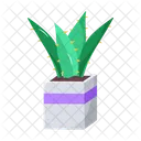 Plant and flowers  Icon