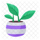 Plant and flowers  Icon