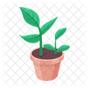 Plant and flowers  Icon