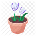 Plant and flowers  Icon