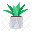 Plant and flowers  Icon