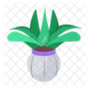 Plant and flowers  Icon