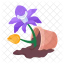 Plant and flowers  Icon