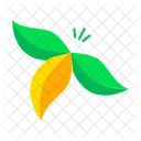 Plant Based  Icon