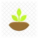 Plant Based Deit Organic Plant Icon