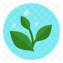 Plant based food  Icon