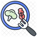 Plant-based meal  Icon