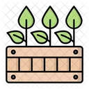 Plant Box  Icon
