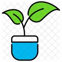 Plant Bud  Icon