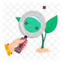 Herb Stickers Herbal Therapy Herbal Remedies Icon