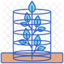 Plant Cage  Icon