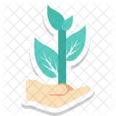 Plant Care Hand Gesture Fruit Icon