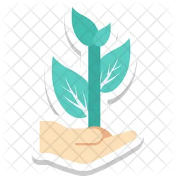 Plant Care  Icon