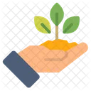 Care Ecology Plant Icon Icon