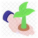 Plant Care  Icon