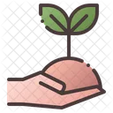 Hand Seeding Plant Icon