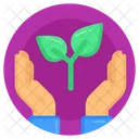 Plant Growth Sprout Cultivation Icon