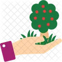 Plant Care Plant Gardening Icon