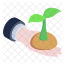 Growing Plant Seedling Ecology Icon
