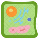 Plant Cell Plant Cell Biology Science Icon