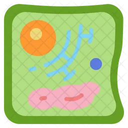 Plant Cell  Icon