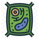 Plant Cell Biology Cell Icon