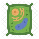 Plant Cell Biology Cell Icon