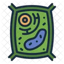Plant Cell Biology Cell Icon