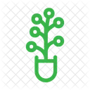 Plant Icon