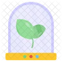 Plant Culture  Icon