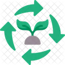 Plant Cycle  Icon