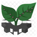 Plant Design  Icon