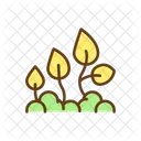 Plant Germination Seed Icon