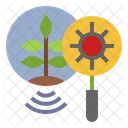 Plant Disease  Icon