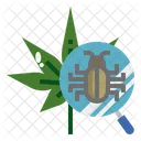 Plant disease  Icon