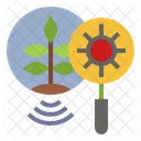 Plant Disease  Icône