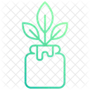Plant Dyed Icon