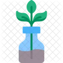 Plant Experiment  Icon