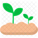 Plant Grow  Icon