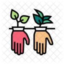 Plant Growing Plant Growing Icon
