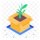 Plant Growing Plantation Plant Leaves Icon