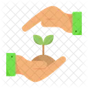 Plant Leaf Care Icon