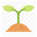 Growth Plant Growth Plant Icon