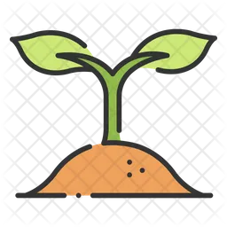 Plant growth  Icon